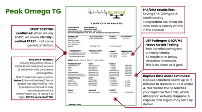 3-Month Foundations Bundle