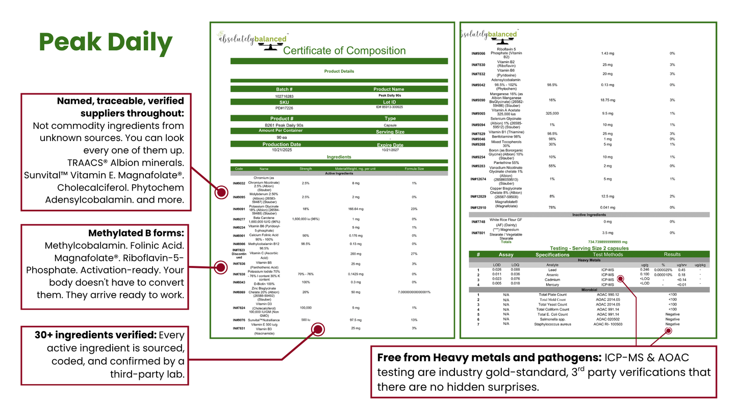 3-Month Foundations Bundle