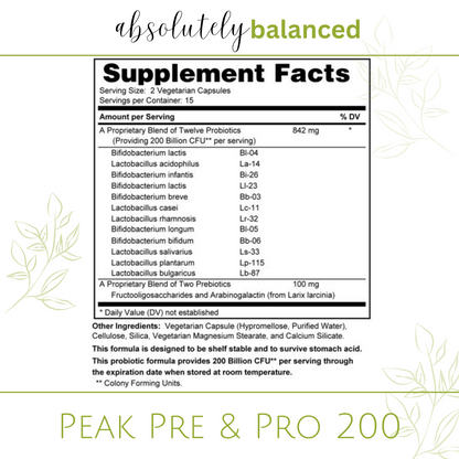 3-Month Foundations Bundle