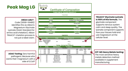 3-Month Foundations Bundle