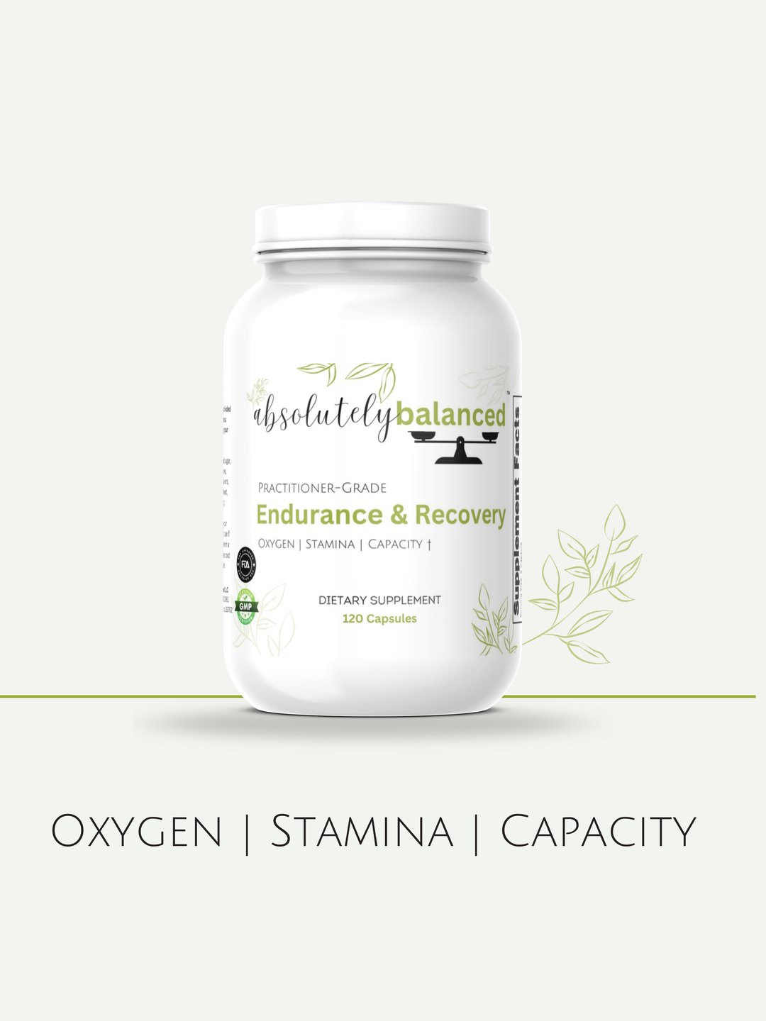 Endurance & Recovery