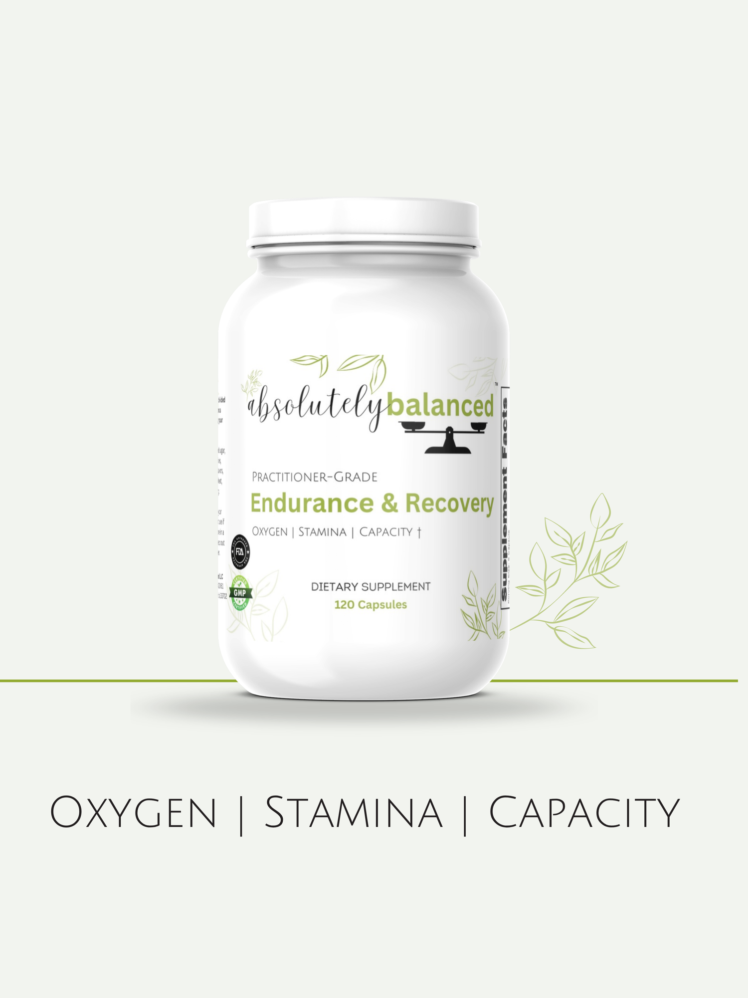 Endurance & Recovery
